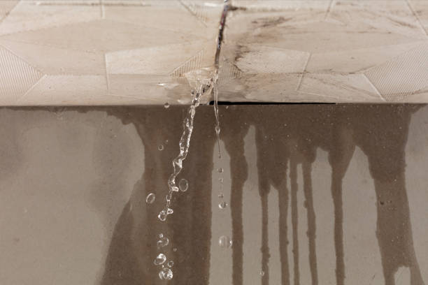 Professional Water Extraction technician working in Elsberry, MO